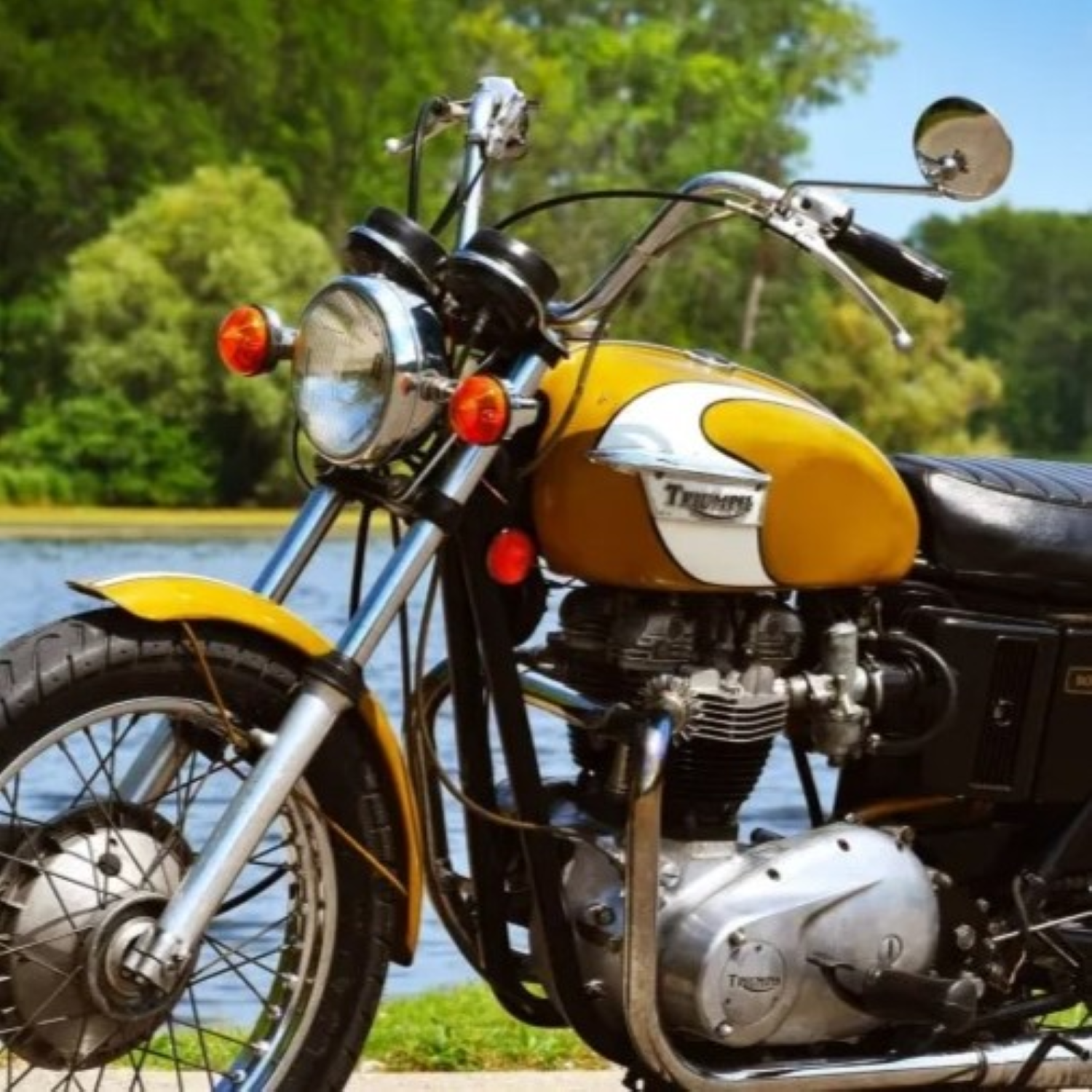 Triumph Cold White Paint Product